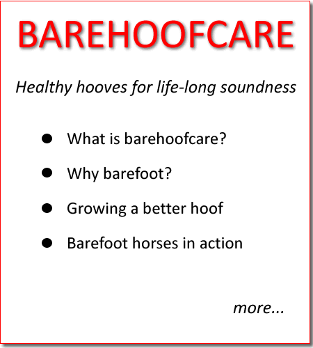 Barehoofcare