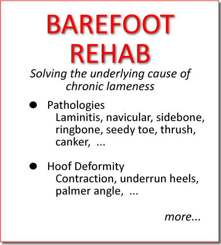 Barefoot rehab