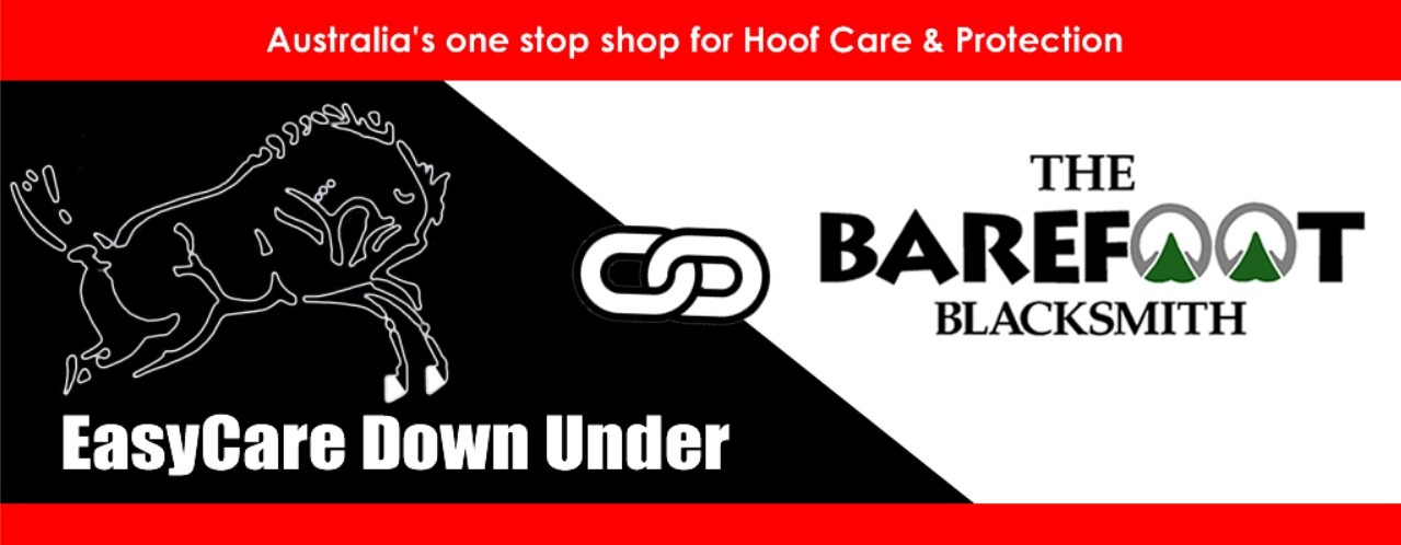 BFB EC Banner