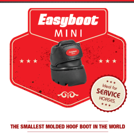EasyBoot Mini