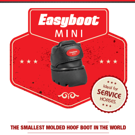 mini-smallest-graphic