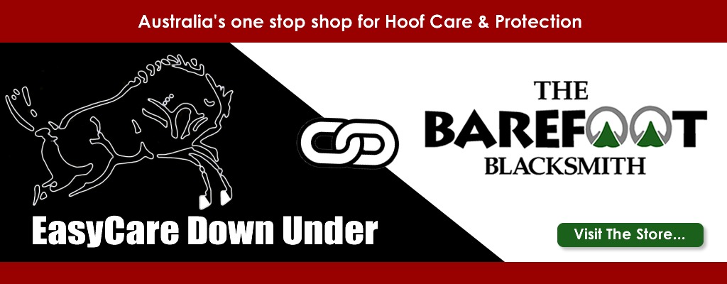 BFB EC Banner